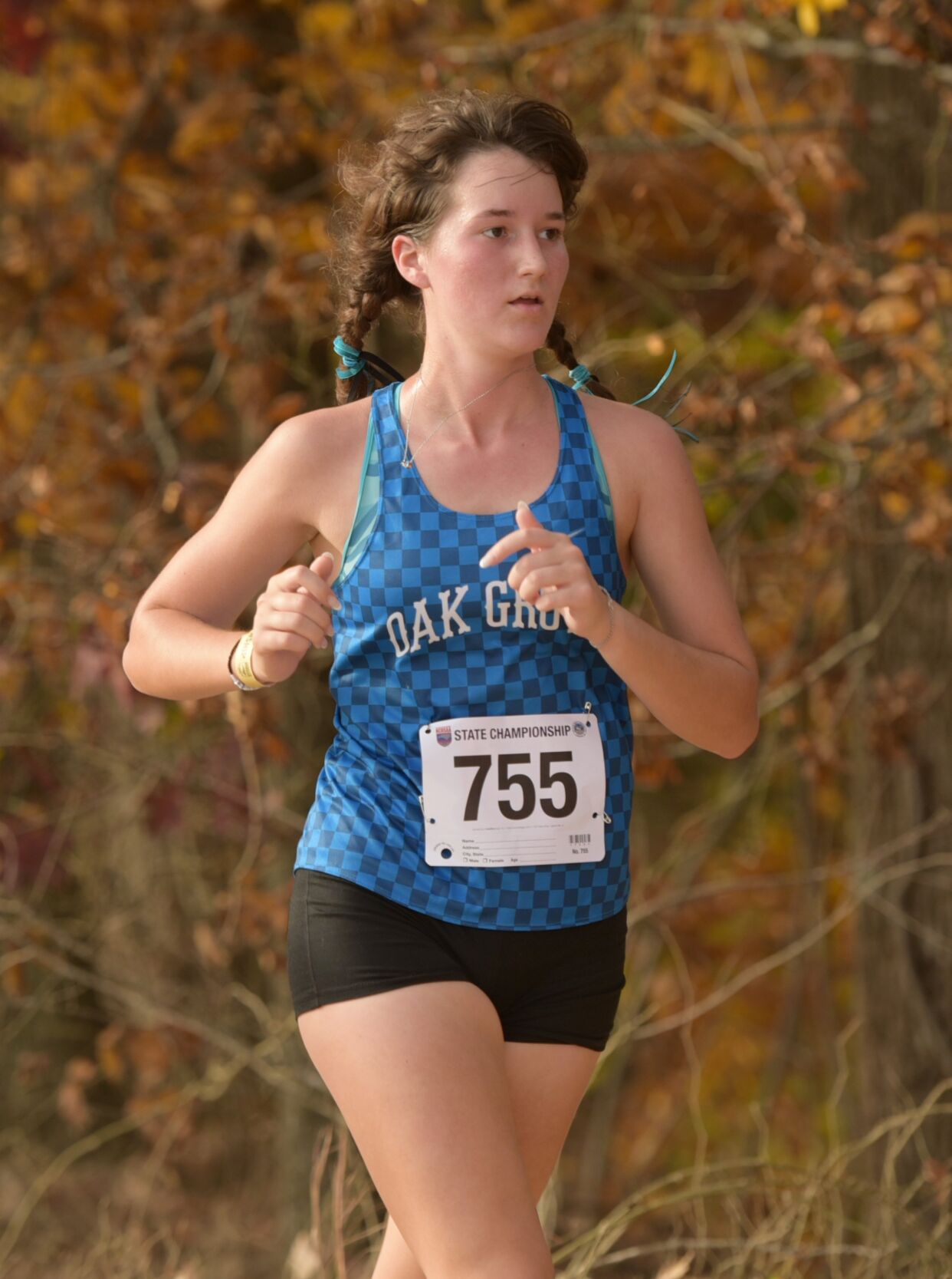 3A NCHSAA cross country championships